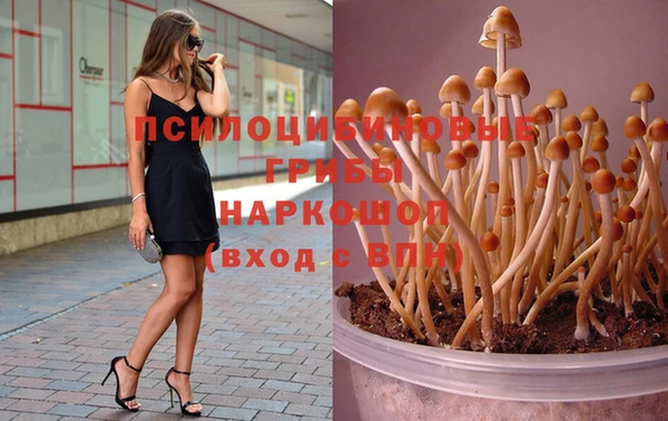 MDMA Premium VHQ Горнозаводск