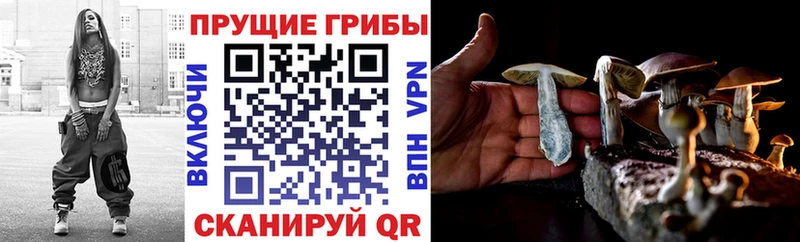 Галлюциногенные грибы Cubensis  Купить где  Удомля 